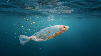 Niespodziewane źródła mikroplastiku w twoim domu